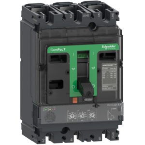 Interruptor Automático ComPacT NSX250F MicroLogic 2.2 250 A 3P3D